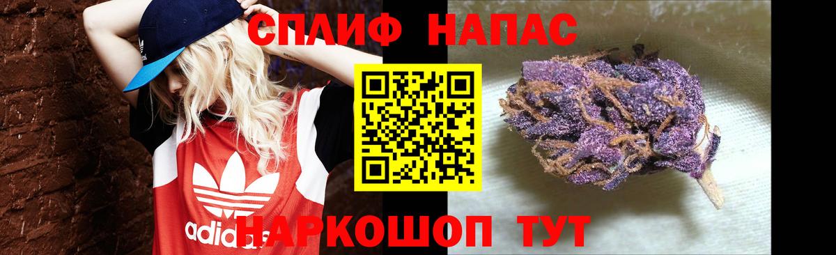 Марихуана ГИДРОПОН  Вход с VPN  Каннабис VHQ  Марихуана сатива  Новокубанск  Канабис план 